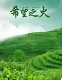希望之火