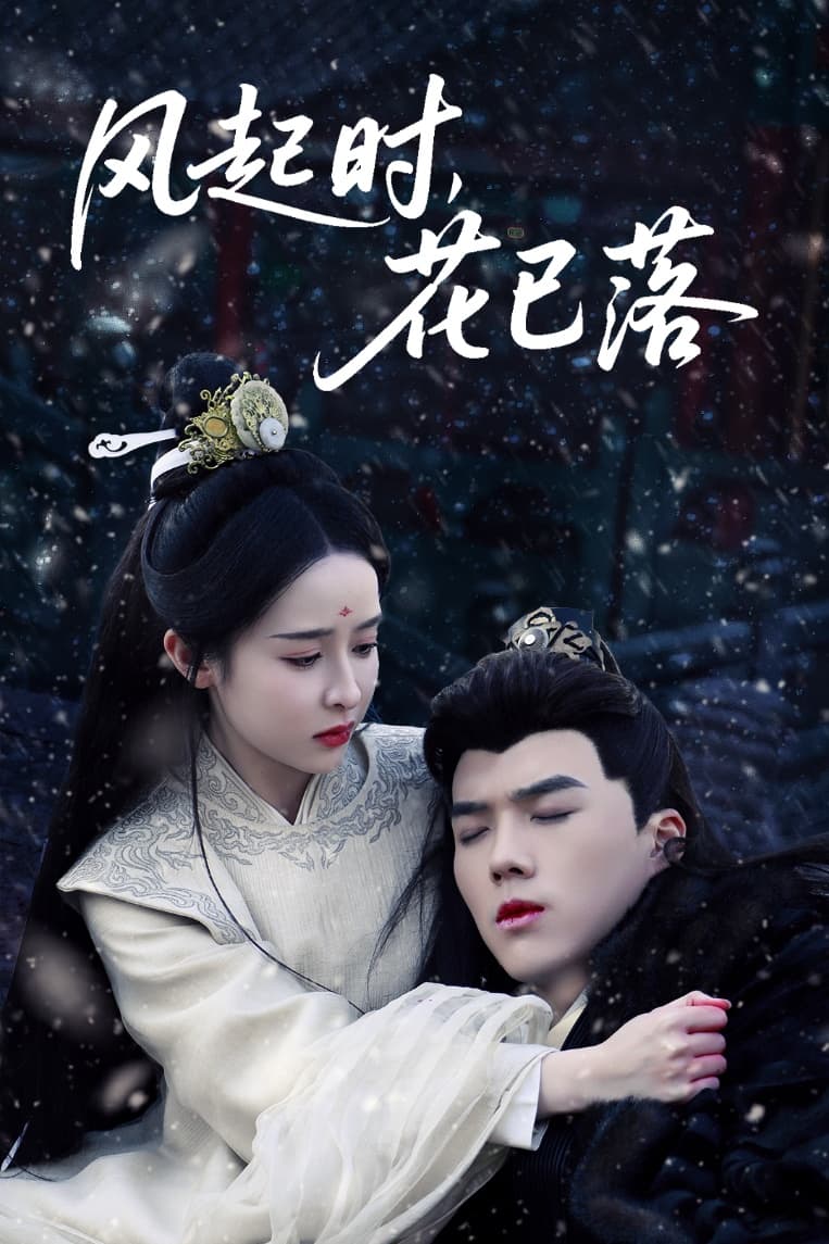 风起时,花已落