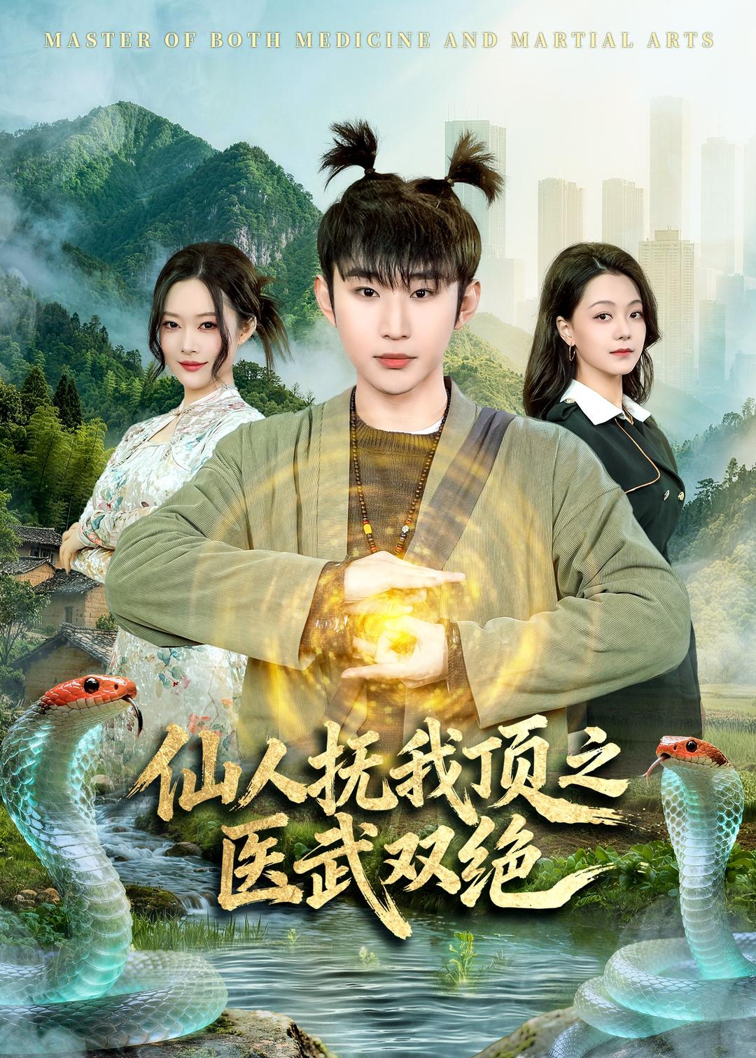 仙人抚我顶之医武双绝封面图