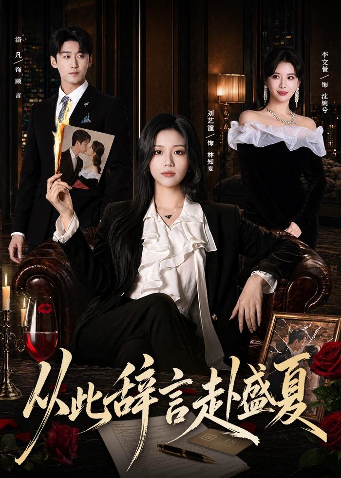 从此辞言赴盛夏封面图