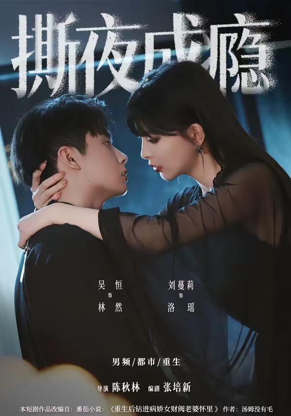 撕夜成瘾封面图