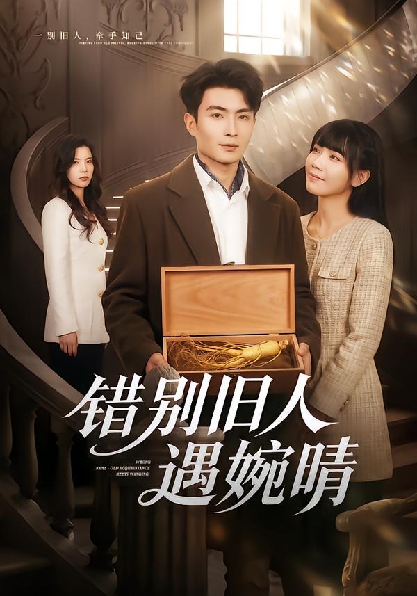 错别旧人遇婉晴封面图