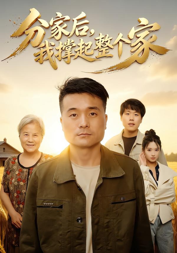 分家后我撑起整个家封面图